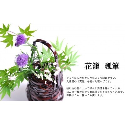 花かご ひょうたん E 4 お礼品詳細 ふるさと納税なら さとふる