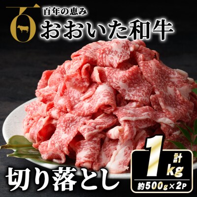 おおいた和牛切り落とし(計1kg・500g×2P)【110201002】【吉野】