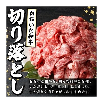 おおいた和牛切り落とし(計1kg・500g×2P)【110201002】【吉野】