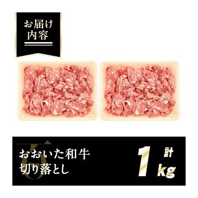 おおいた和牛切り落とし(計1kg・500g×2P)【110201002】【吉野】