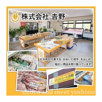 おおいた和牛切り落とし(計1kg・500g×2P)【110201002】【吉野】