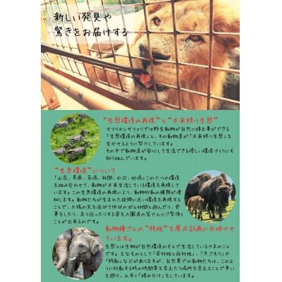 アフリカンサファリ入園券大人2枚と小人4枚【110601700】【九州アフリカ・ライオン・サファリ】