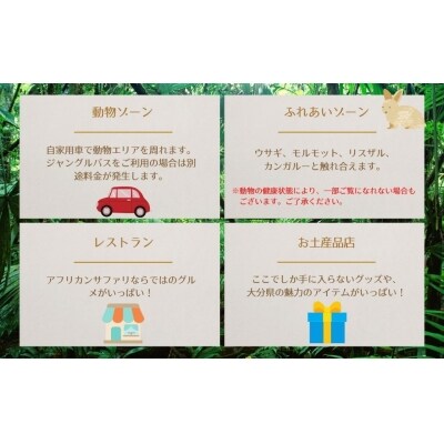アフリカンサファリ入園券大人2枚と小人4枚【110601700】【九州アフリカ・ライオン・サファリ】