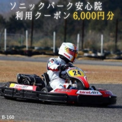 ソニックパーク安心院利用クーポン(6000円) 【C174】