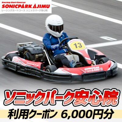 ソニックパーク安心院利用クーポン(6000円) 【106500100】【ガリレオレーシング】
