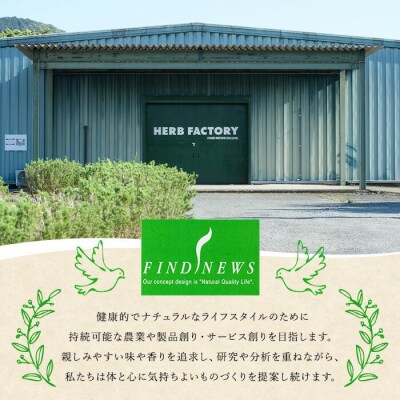 ファインド・ニューズ プレミアムセット 【109300200】【ファインド・ニューズ】