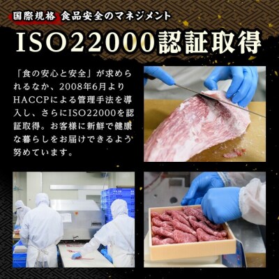 豊後牛サーロイン・ヒレステーキセット(合計約620g)【106402100】【まるひで】