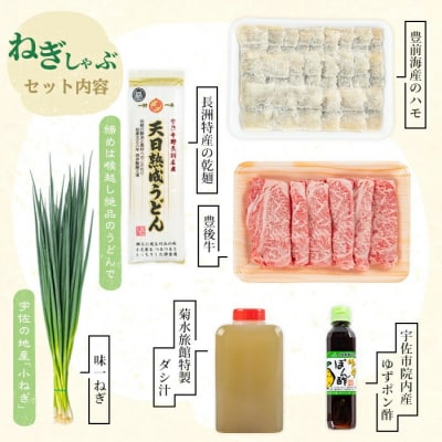 ねぎしゃぶ(6品)【101500302】【菊水旅館】