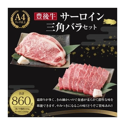 豊後牛焼肉セット サーロイン180g×2 三角バラ500g 【106402500】【まるひで】