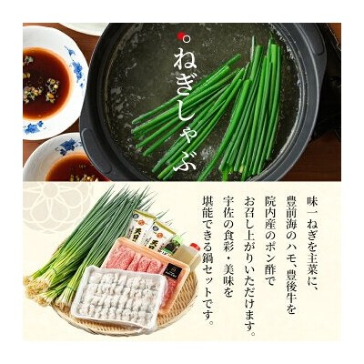 ねぎしゃぶ+安心院のあまざけ【101500402】【菊水旅館】