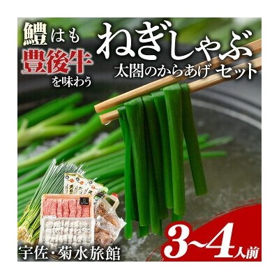 ねぎしゃぶ+太閤からあげ【101500502】【菊水旅館】