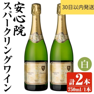 安心院スパークリングワイン白 750ml 2本セット【107302602】【時枝酒店】