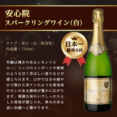 安心院スパークリングワイン白 750ml 2本セット【107302602】【時枝酒店】