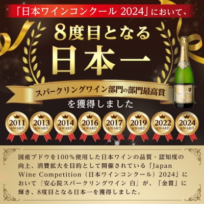 安心院スパークリングワイン白 750ml 2本セット【107302602】【時枝酒店】