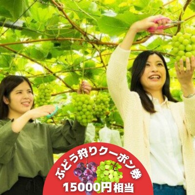 宇佐市観光ぶどう園ぶどう狩りクーポン券 3000円相当 5枚 合計円分 E 19 お礼品詳細 ふるさと納税なら さとふる