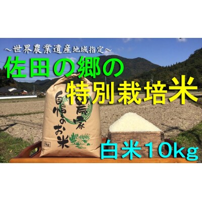佐田の郷の米 特別栽培米 10kg 米 ブランド米 大分県産 C-115