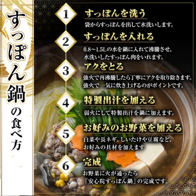 料亭やまさ　すっぽん鍋セット　4～5人前 【105900501】【やまさ】