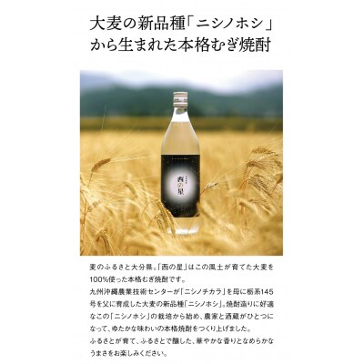 いいちこ/西の星 パック 20度1800ml 各2本【104303700】【山添産業】