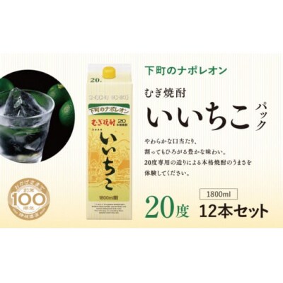 いいちこパック 20度 1800ml×12本【107304900】【時枝酒店】