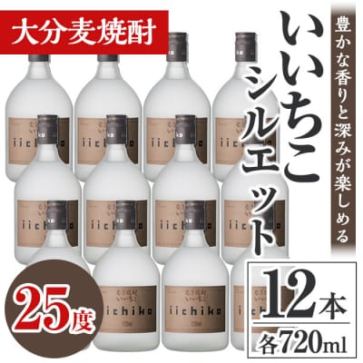 いいちこシルエット25度 720ml 12本 【106105101】【酒のひろた】
