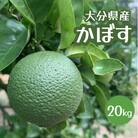 【大分県産直】久井田農園のかぼす 20kg 【112600400】【株式会社andK】