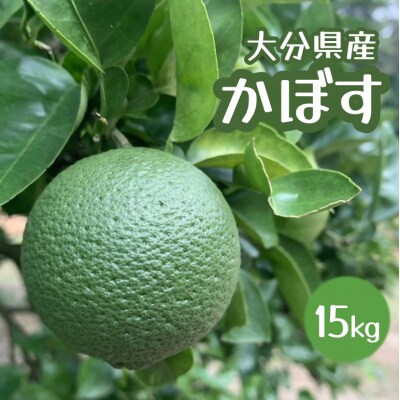 【大分県産直】久井田農園のかぼす 15kg【112600300】【株式会社andK】