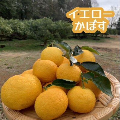 【大分県産直】久井田農園のかぼす 15kg【112600300】【株式会社andK】