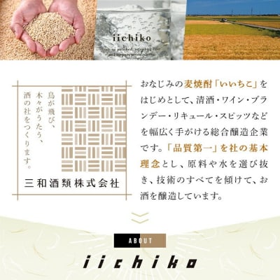 【さとふる限定】いいちこ 25度 パック(1.8L×3本)【106103952】【酒のひろた】