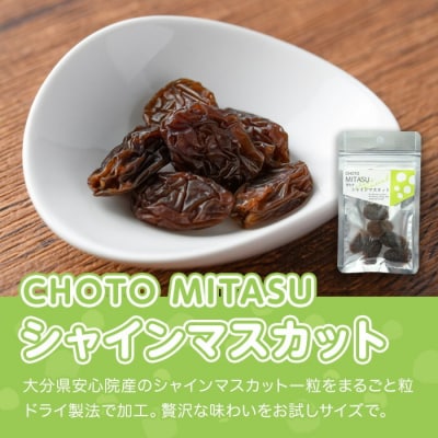 CHOTO MITASU シャインマスカット10袋【100701601】【宮田ファミリーぶどう園】