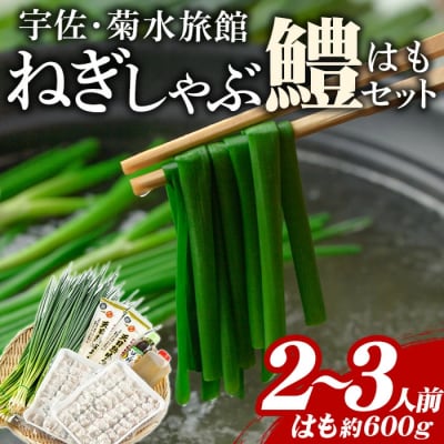 ねぎしゃぶ(鱧はも)【101500201】【菊水旅館】