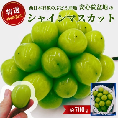 <2026年発送>特選シャインマスカット700g【106300201】【大分県農協北部エリア】