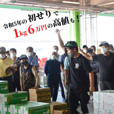 特選シャインマスカット約700g【106300201】【大分県農業協同組合　北部エリア】