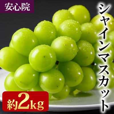 <2026年発送>シャインマスカット 約2kg【106300501】【大分県農協北部エリア】