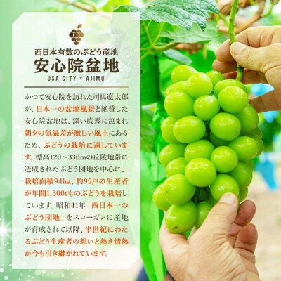 【先行受付】シャインマスカット1kg加温栽培 【106300301】【大分県農業協同組合北部エリア】