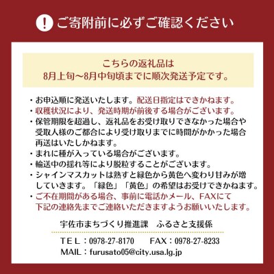 【先行受付】シャインマスカット1kg加温栽培 【106300301】【大分県農業協同組合北部エリア】