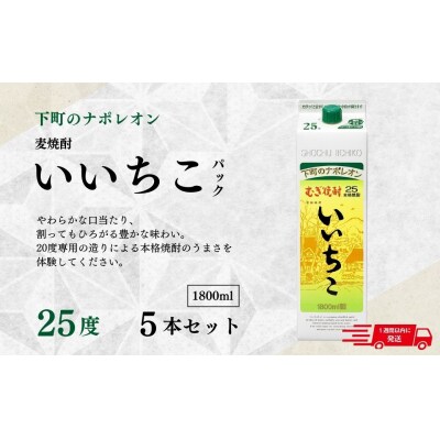 いいちこパック 25度 1800ml×5本 計9.0L 【D105】 | お礼品詳細 ...