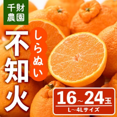 千財農園 不知火 L~4L(16玉～24玉)  しらぬい【109000301】【千財農園】