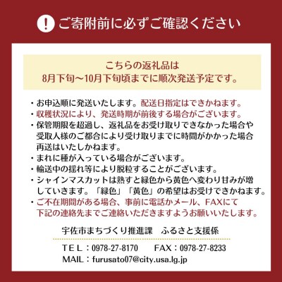 <2026年発送>特選シャインマスカット 5kg【106300700】【大分県農協北部エリア】
