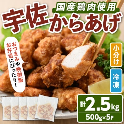 サクッとジューシー宇佐から揚げセット500g×5P【102000700】【サンセイ安心院ソーセージ】