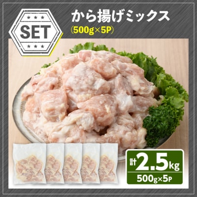 サクッとジューシー宇佐から揚げセット500g×5P【102000700】【サンセイ安心院ソーセージ】