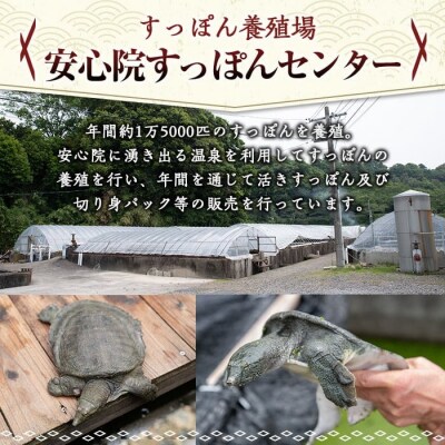 安心院べっぴんこらーげんスープ 200g×6【102700501】【安心院すっぽんセンター】