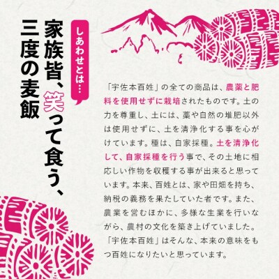 しあわせ米のあまざけ 贈答セット(赤×赤) 900ml×2本【101000202】【宇佐本百姓】