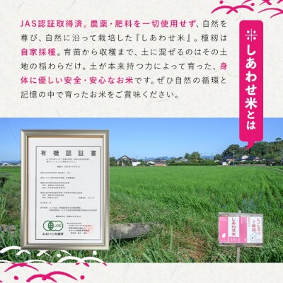 しあわせ米のあまざけ 贈答セット(赤×赤) 900ml×2本【101000201】【宇佐本百姓】