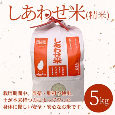 しあわせ米精米(白米) 5kg 【101000502】【宇佐本百姓】