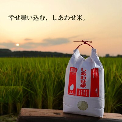 しあわせ米精米(白米) 5kg 【101000502】【宇佐本百姓】