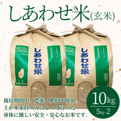 しあわせ米 玄米 10kg(5kg入×2袋)【101000602】【宇佐本百姓】