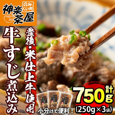 豊後米仕上げ牛 牛すじ煮込み(計750g・250g×3p)【111100201】【神楽茶屋】