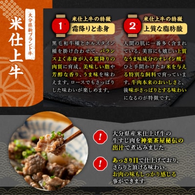 豊後米仕上げ牛 牛すじ煮込み(計750g・250g×3p)【111100201】【神楽茶屋】