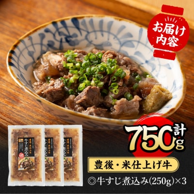 豊後米仕上げ牛 牛すじ煮込み(計750g・250g×3p)【111100202】【かぐら】