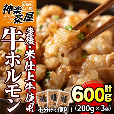 豊後米仕上げ牛牛ホルモン炒め 200g×3【111100502】【かぐら】